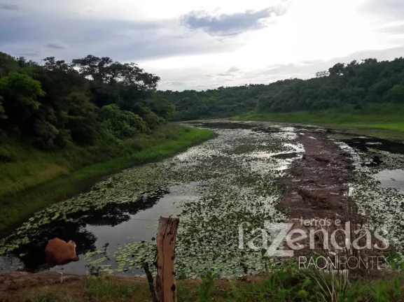 Imagem Fazenda à Venda, 17.000 m² em Zona Rural - Alto Parnaíba