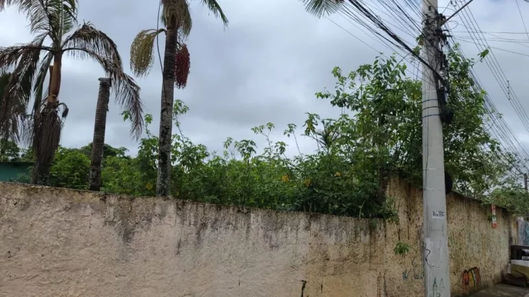 Imagem Terreno à venda, 1820 m² por R$ 750.000,00 - Caxangá - Suzano/SP