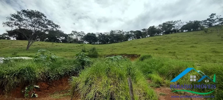 Imagem Invista em Sustentabilidade: Sítio com Nascentes e Preservação