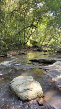 Imagem Chácara - Sítio com 2 Dormitorio(s) localizado(a) no bairro São Jacó em Nova Petrópolis / RIO GRANDE DO SUL Ref.:1511