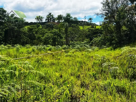 Imagem Chácara com 2 Quartos à Venda, 36.000 m² em Sabaúna - Mogi Das Cruzes