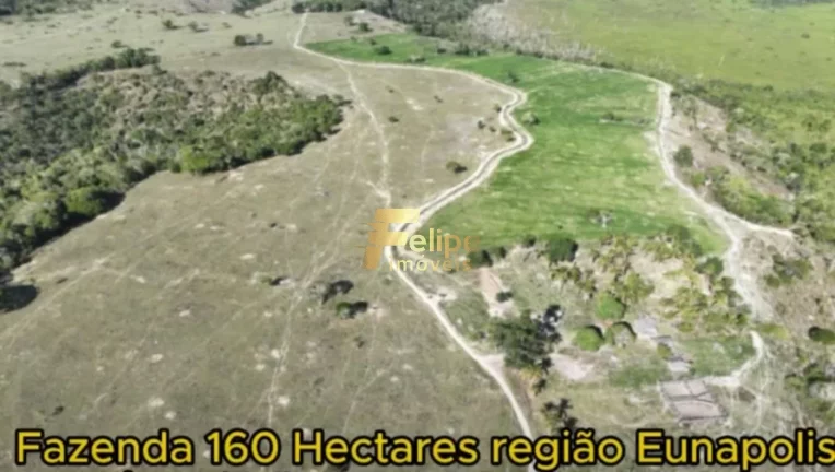 Imagem Fazenda para CAFÉ à Venda em Eunápolis Bahia 160 hectares.