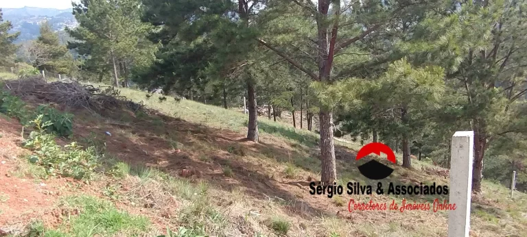 Imagem Terreno a Venda na Região do Atalaia em Campos do Jordão -SP.