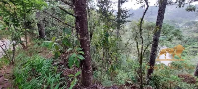 Imagem Terreno à venda, 5170 m² por R$ 350.000,00 - Descansópolis - Campos do Jordão/SP