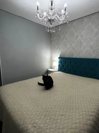 Imagem Apartamento com 3 dormitórios em ótima localização na Mooca