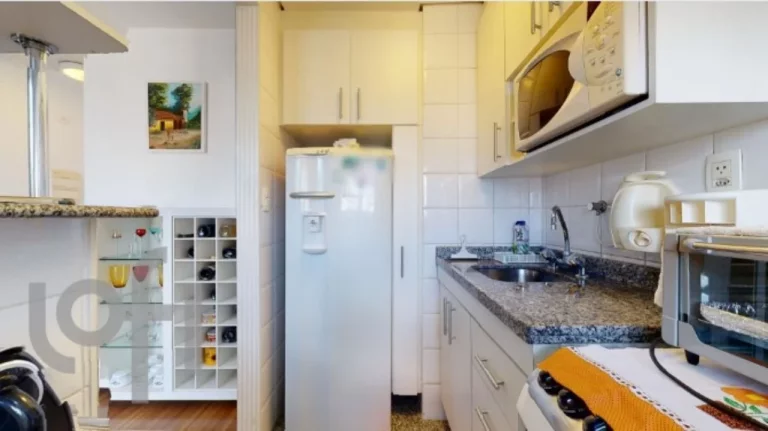 Imagem APARTAMENTO RESIDENCIAL em São Paulo - SP, Moema Pássaros
