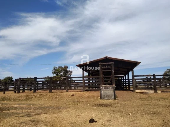 Imagem Fazenda à venda finalidade pecuaria formada, localizada na Região do Rio Manso , Chapada dos Guimarães - MT