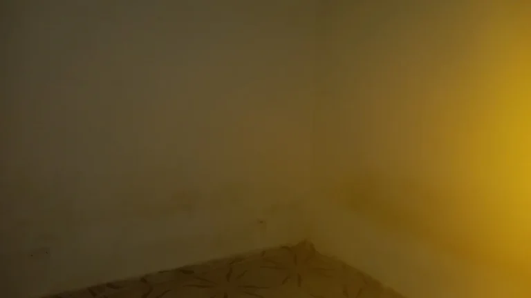 Imagem Casa para Venda em Itanhaém, Jamaica (Praia), 2 dormitórios, 1 suíte, 2 banheiros