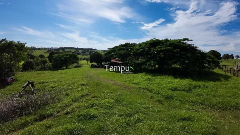 Imagem Fazenda 3 alqueires em Anicuns - Excelente para plantio