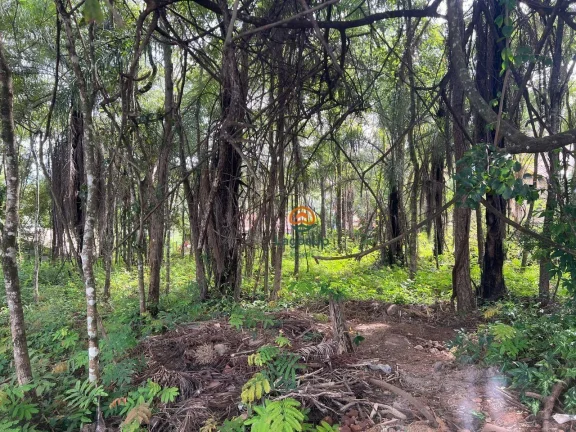 Imagem Terreno à venda, 1000 m² por R$ 280.000,00 - Condomínio Canto do Riacho - Lagoa Santa/MG