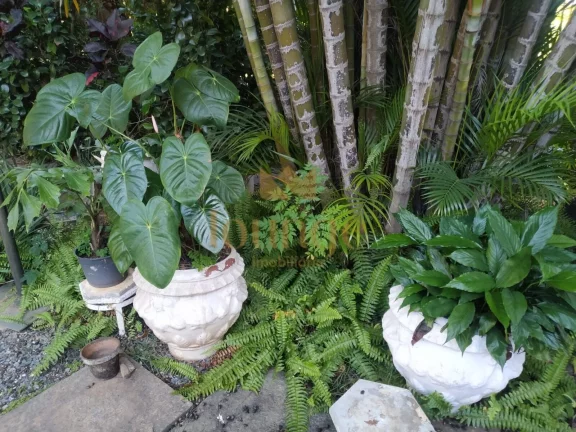 Imagem Terreno Loteamento em Sorocaba