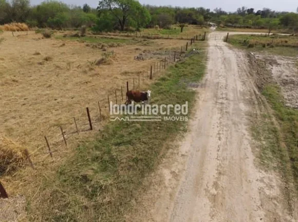 Imagem Fazenda San Justino no Chaco Paraguaio com valor de 900 dólares por hectare, totalizando 12.289 hectares.