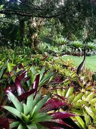 Imagem Casa para Venda em Teresópolis / RJ no bairro Parque do Imbui