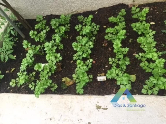 Imagem Apartamento com ótima localização a 10 minutos da estação do metro Ana Rosa com 3 dormitórios sendo 1 suite com fácil acesso a Comércios e Avenidas.