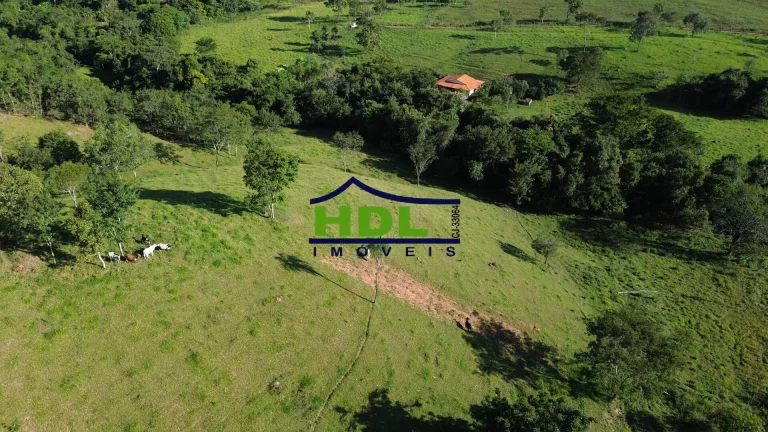 Imagem Chácara com córrego no meio 1 Alqueire e 5 Lts 100 kms de Goiânia