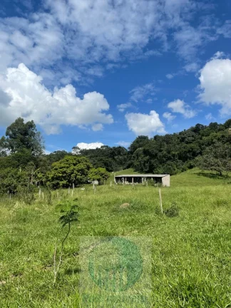 Imagem Sítio 6,5 alqueires por R$ 900.000 em São Sebastião do Paraíso - Minas Gerais.
