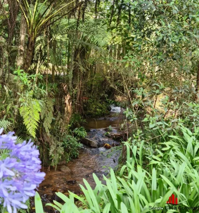 Imagem Chácara a venda com 384,00 m², Região Alta em Santo Antônio do Pinhal/SP.