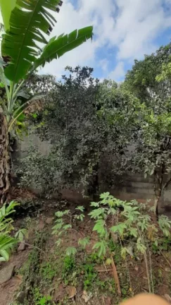 Imagem Chácara com 3 dormitórios à venda, 630 m² por R$ 499.000,00 - Caxangá - Suzano/SP