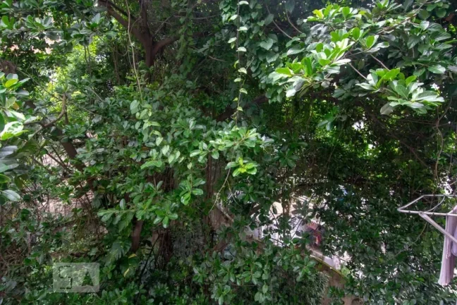 Imagem Apartamento à Venda - Copacabana, 3 Quartos, 100 m2