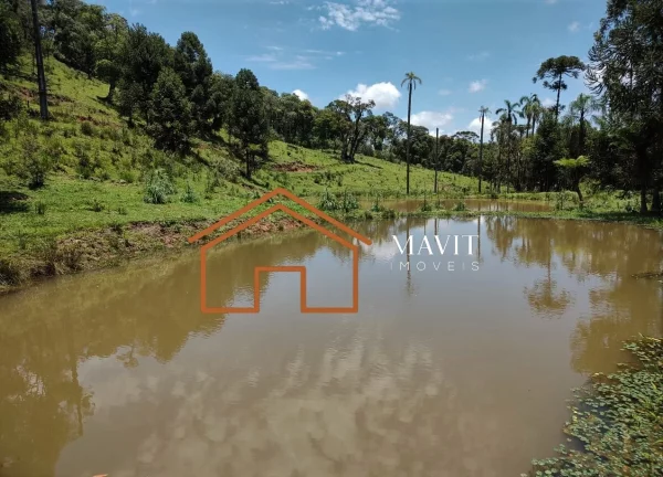 Imagem SITIO RURAL em CAMPO ALEGRE - SC, Estrada Laranjeiras