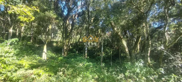 Imagem Chácara - Sítio com 4 Dormitorio(s) localizado(a) no bairro Carapina em São Francisco de Paula / RIO GRANDE DO SUL Ref.:1536