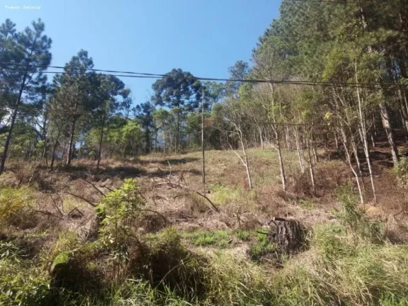 Imagem Área para Venda em Ribeirão Pires, Ouro Fino Paulista