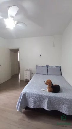 Imagem Apartamento para venda, 2 quarto(s), Santa Cecilia, Porto Alegre - AP2691