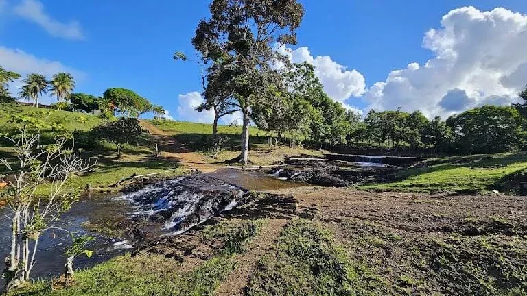 Imagem RESERVAS DO ESCONDIDO - MATA ATLÂNTICA