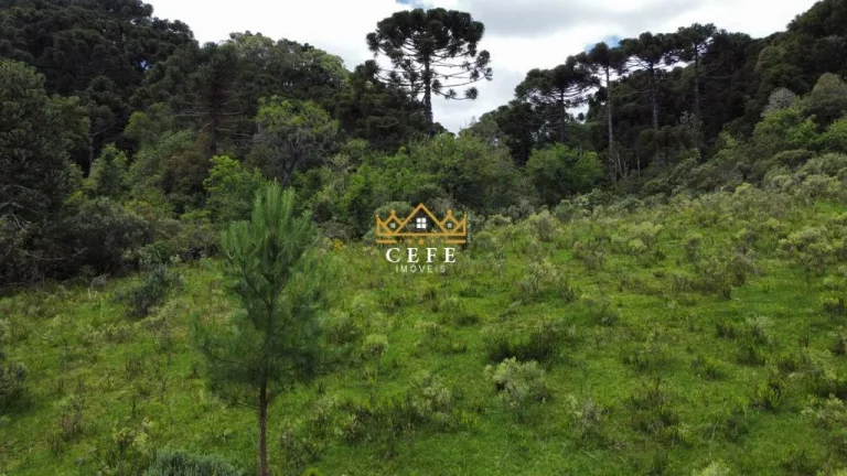 Imagem Chácara - Sítio com 2 Dormitorio(s) localizado(a) no bairro Eletra em São Francisco de Paula / RIO GRANDE DO SUL Ref.:1521