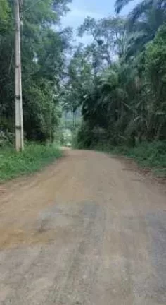 Imagem Lote com 715,52 m2 no bairro da Velha em Blumenau- SC