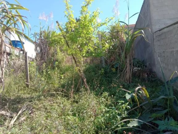 Imagem Terreno à venda, 300 m² por R$ 250.000,00 - Jardim Ikeda - Suzano/SP