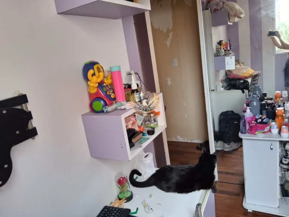 Imagem Apartamento Padrão