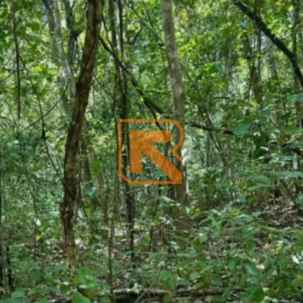 Imagem Sua Oportunidade de Investimento em Formosa-GO