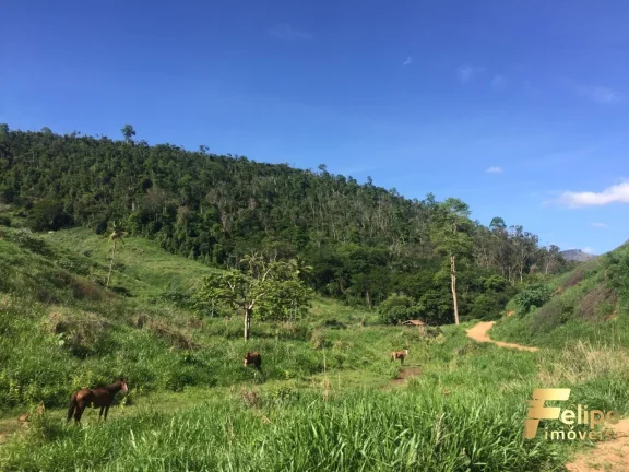 Imagem FAZENDA PRÓXIMO A COLATINA / REGIÃO NOROESTE
