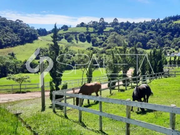 Imagem Fazenda cinematográfica com 120 alqueires à venda em Sapucaí Mirim em Minas Gerais