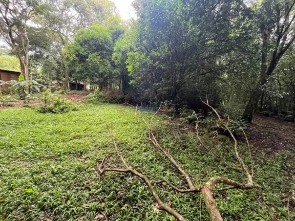 Imagem Hectares no Sul, Area de terra no RS, Hectare em maquine, RS