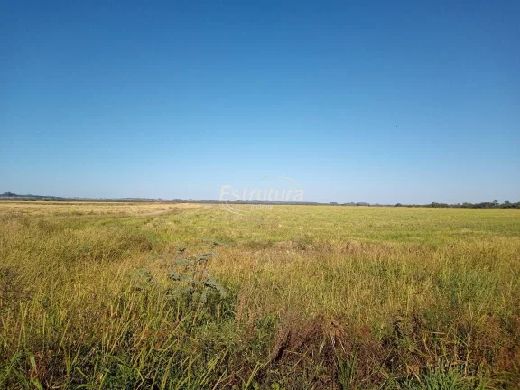 Área rural com aptidão para plantio de arroz de 190ha