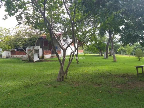 Sítio à Venda no Valor R$ 800.000,00, Ribeirão dos Cocais, Nossa Senhora do Livramento, MT