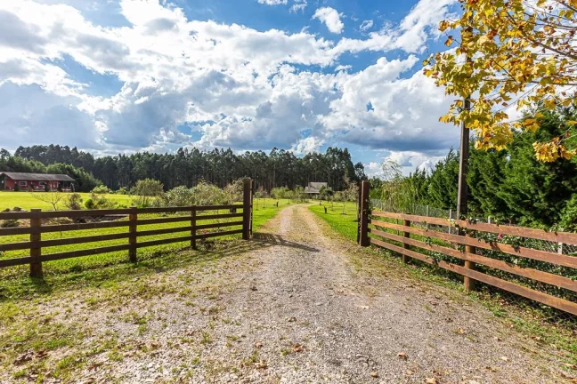 Imagem Chácara à Venda em São Luiz do Purunã-Área de 20 mil m2