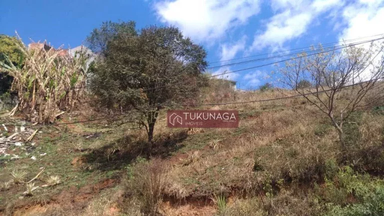 Imagem Terreno à venda, 4080 m² por R$ 1.010.638,48 - Recreio São Jorge - Guarulhos/SP