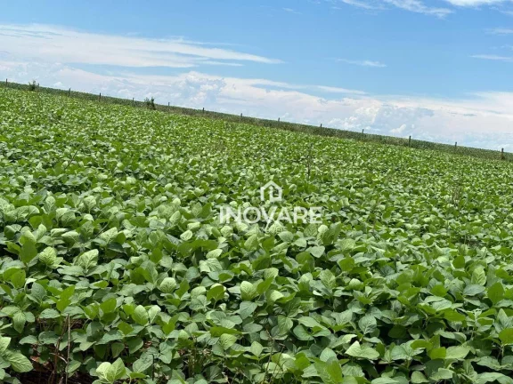 Imagem Fazenda à venda, 10000 m² por R$ 250.000,00 - Setor Central - Corumbaíba/GO