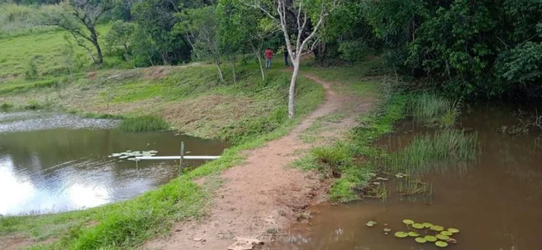 Imagem Sítio à venda no bairro Canedos - Piracaia/SP