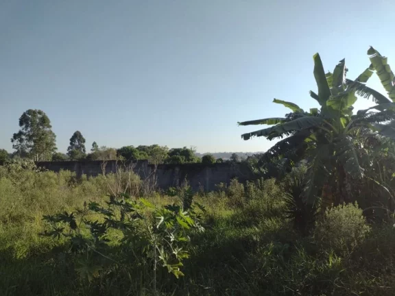 Imagem Terreno à venda, 600 m² por R$ 640.000,00 - Chácara Faggion - Suzano/SP