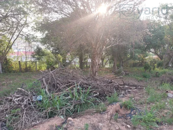 Imagem Terreno, Lote, Venda e Compra, Jardim Pacaembú, Jundiaí,