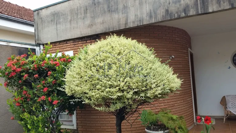 Imagem Casa Padrão