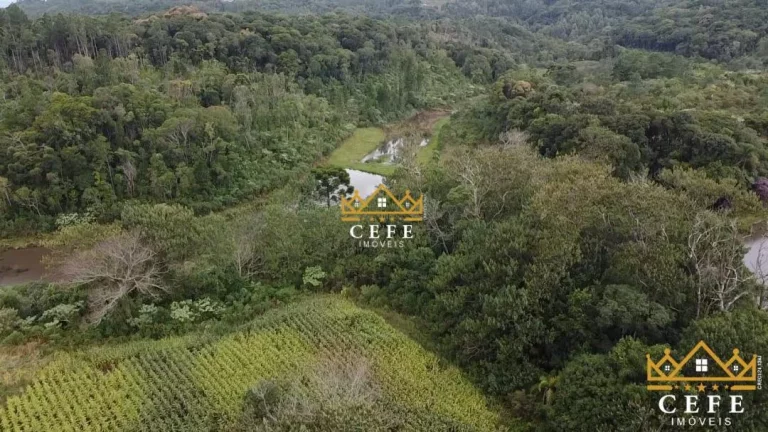 Imagem Chácara - Sítio com 3 Dormitorio(s) localizado(a) no bairro Serra Grande em Três Coroas / RIO GRANDE DO SUL Ref.:1285