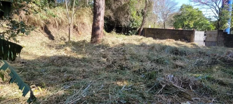 Imagem Terreno com 677 M², sendo 39,4 M² de frente. Excelente terreno em frente ao Parque Toronto. Ótima...