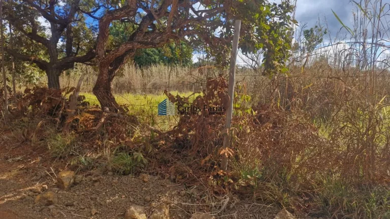 Imagem Chácara para Venda em Brasília, Setor Habitacional Tororó (Jardim Botânico)