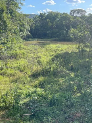 Imagem Fazenda à Venda – 117,3 Hectares em Luziânia-GO