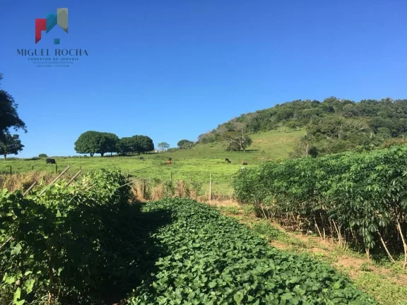 Imagem Fazenda em São Carlos SP